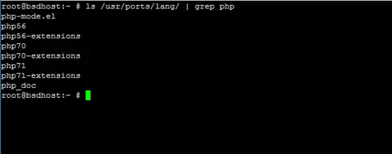 ls / usr / ports / lang / |  grep php pkg search –o php